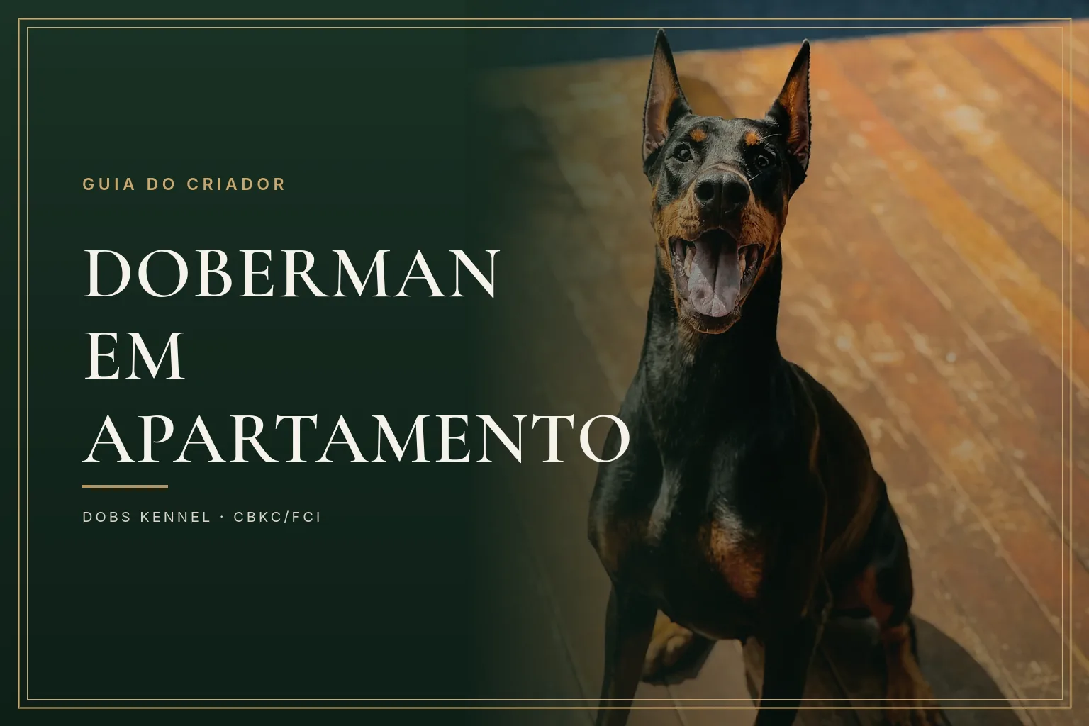 Doberman marrom adulto em pé, capa do guia sobre criar Doberman em apartamento do canil Dobs Kennel