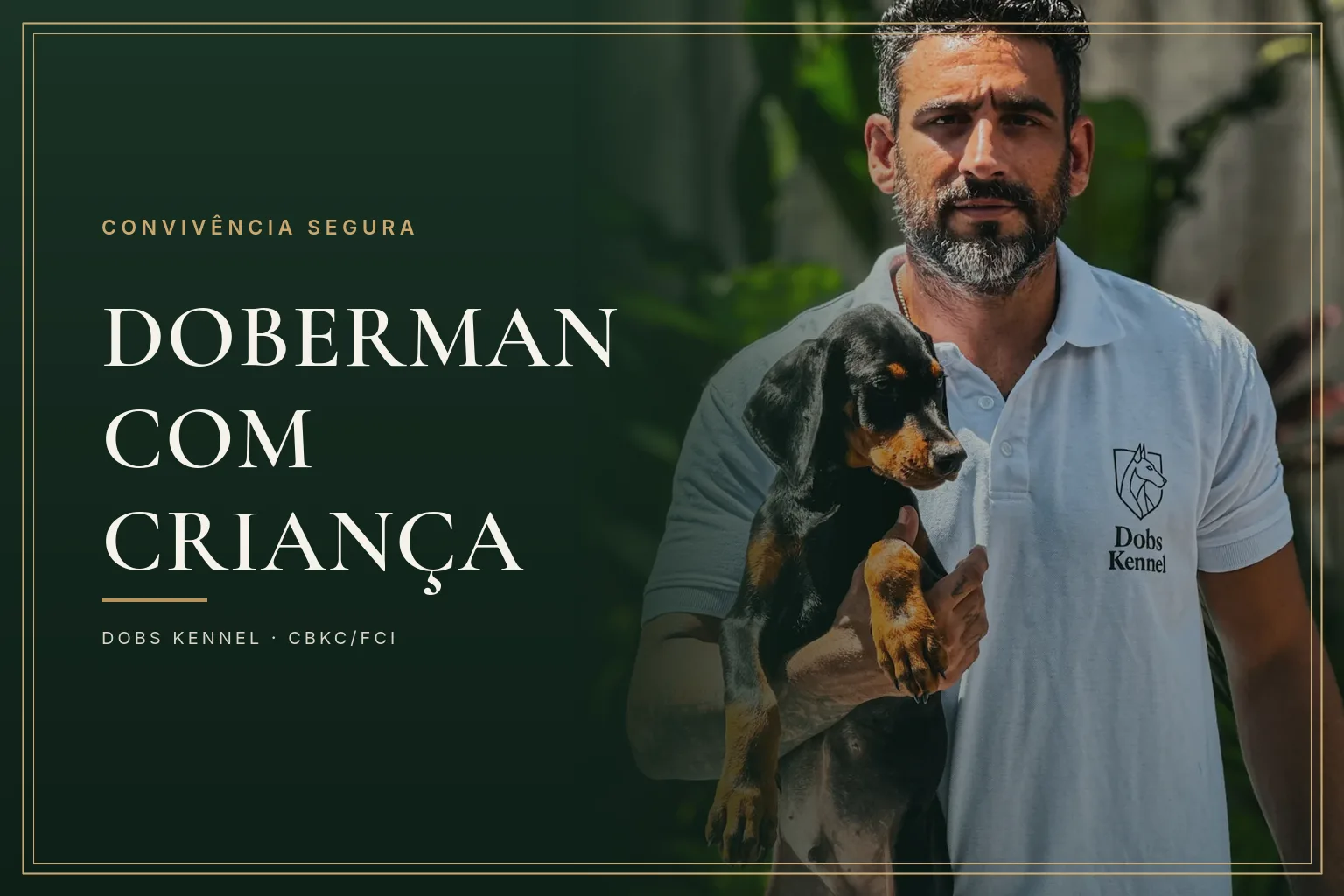 Doberman preto e castanho adulto, capa do guia sobre convivência entre Doberman e criança do canil Dobs Kennel