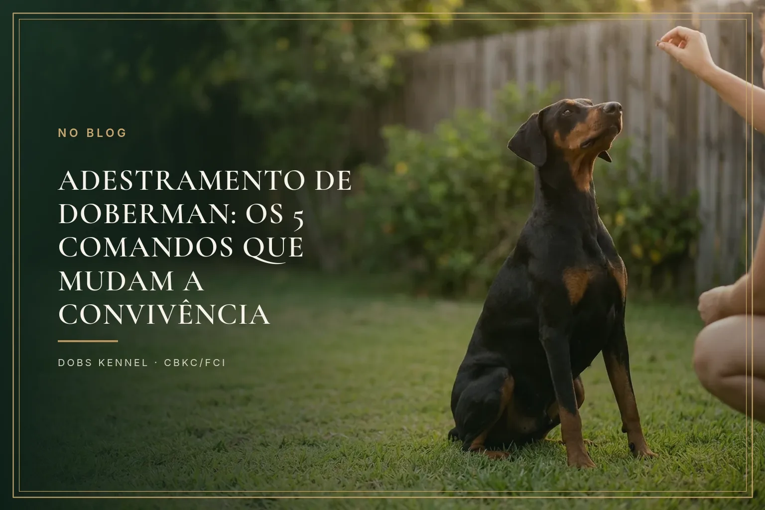 Doberman adulto atento em posição de senta durante uma sessão de treino ao ar livre, na capa do artigo sobre adestramento