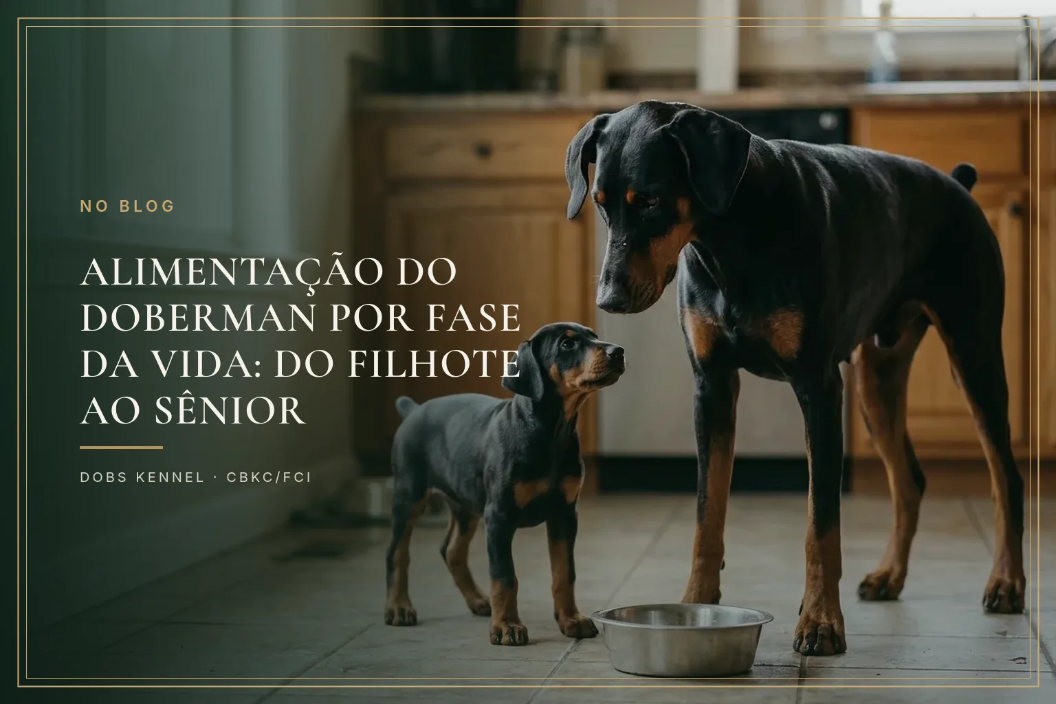 Doberman filhote comendo ração de crescimento controlado, ilustrando a alimentação por fase de vida da raça