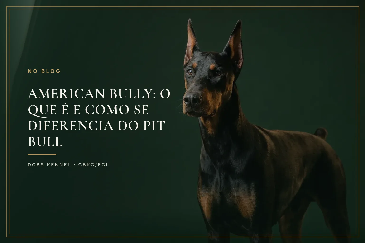 Doberman adulto preto e castanho, de orelhas em pé, sobre fundo verde-escuro