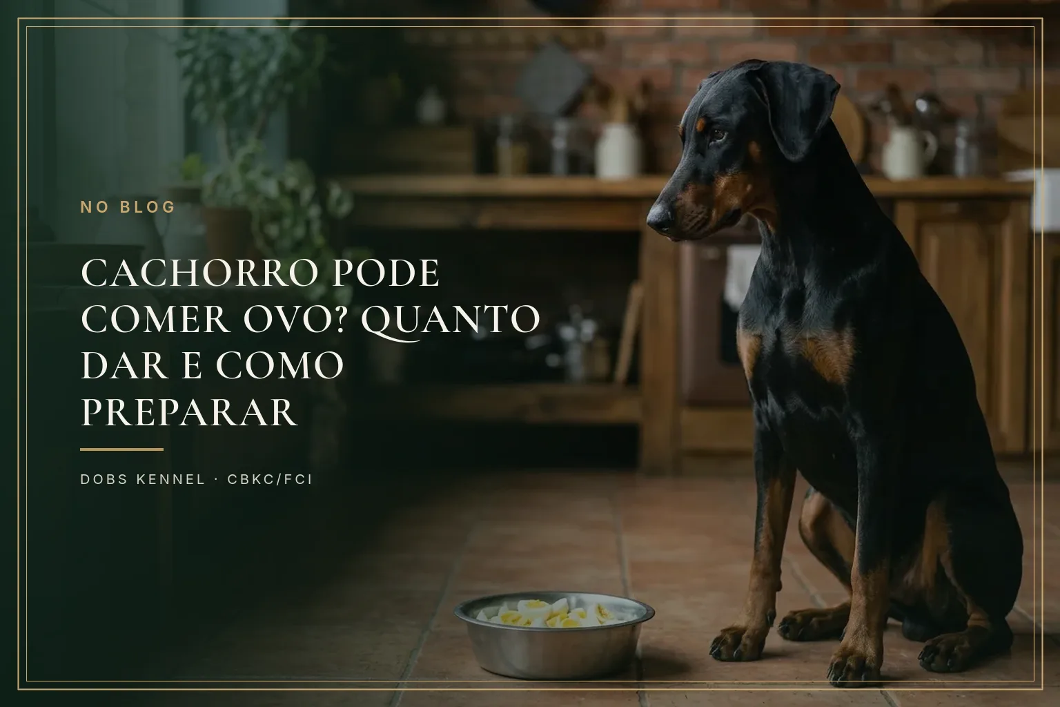 Doberman adulto preto e marrom, de orelhas naturais, sentado na cozinha ao lado de uma tigela com ovo cozido picado