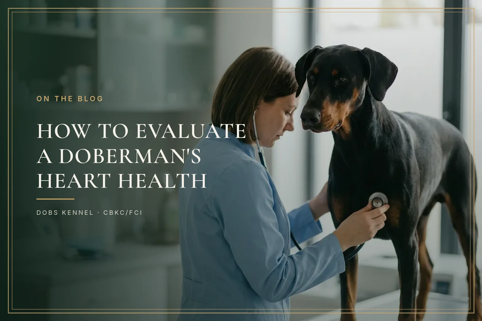 DOBERMAN HEALTH — HEART SCREENING