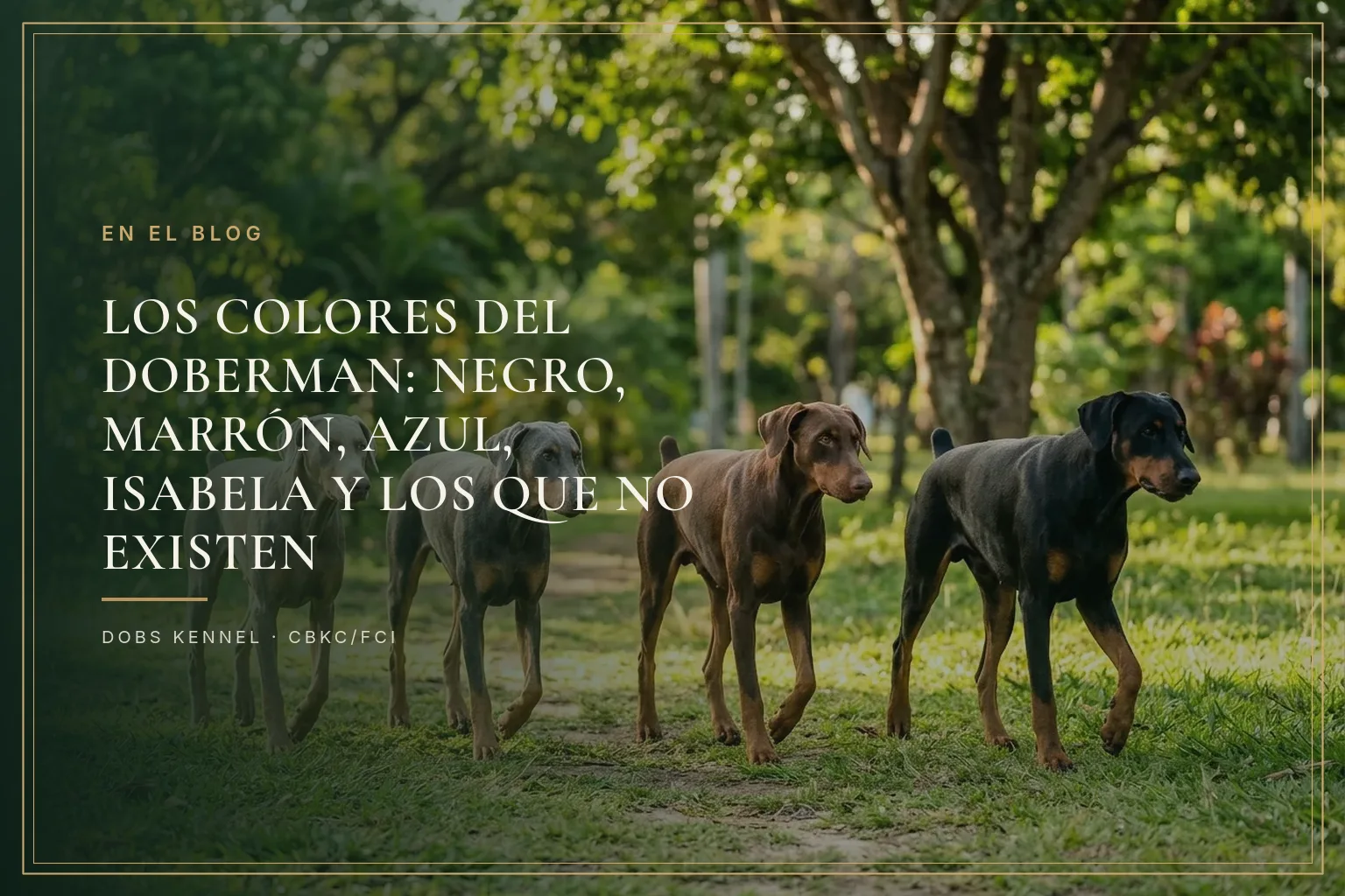 CUATRO Y MEDIO — COLORES DEL DOBERMAN