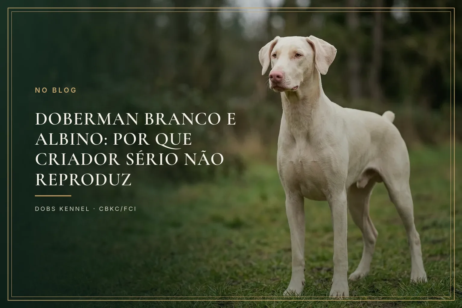 Doberman preto e ferrugem de corpo inteiro em destaque, ao fundo a silhueta clara de um doberman albino