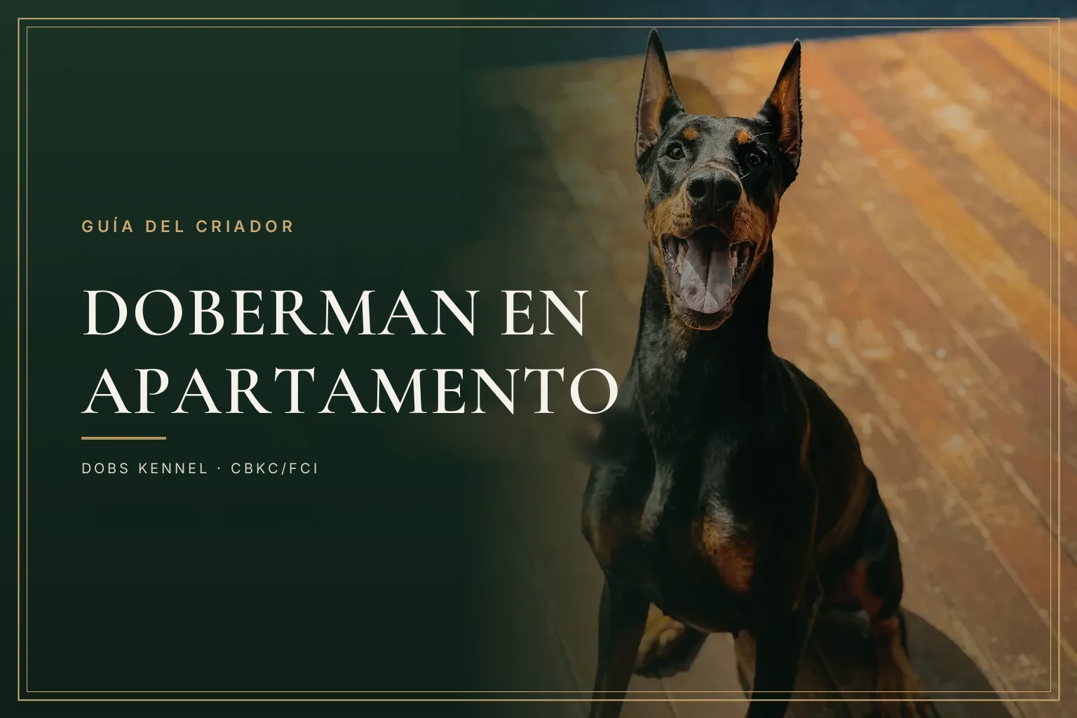 Doberman marrón adulto de pie, portada de la guía de Dobs Kennel sobre criar un Doberman en un apartamento