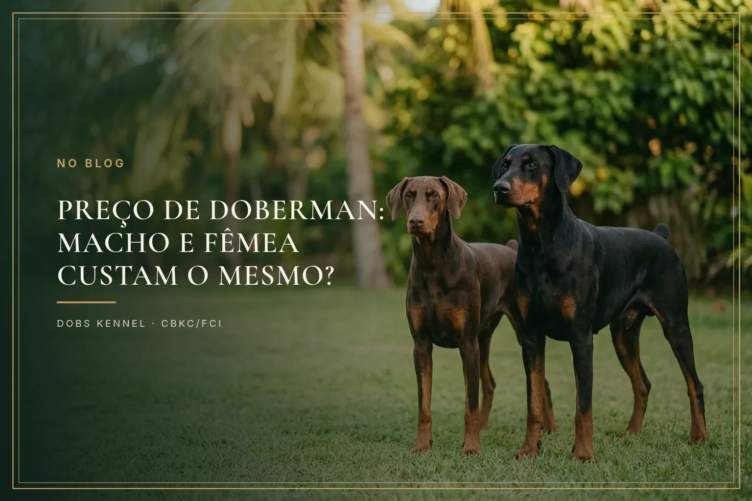 Dois Dobermans adultos lado a lado num jardim, um marrom e castanho e um preto e castanho, mostrando as duas cores da raça. Dobs Kennel.