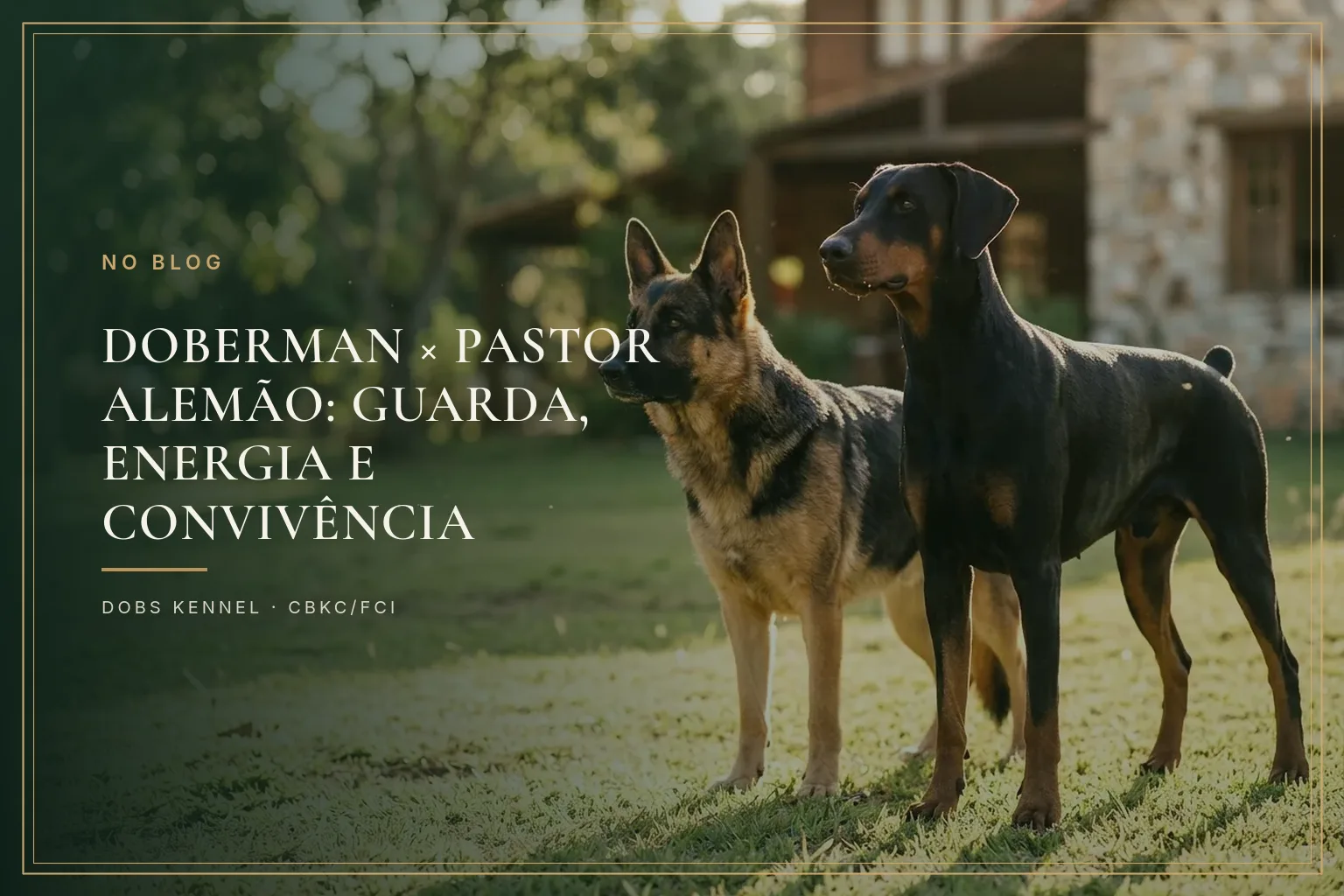 Um Doberman preto e castanho e um Pastor Alemão adultos lado a lado, na capa do comparativo entre as duas raças