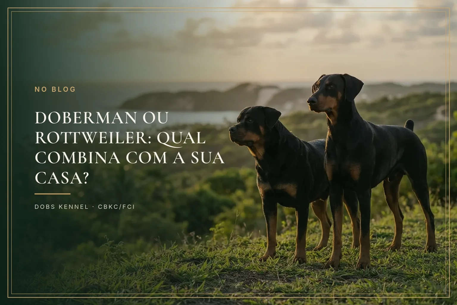 Um Doberman e um Rottweiler adultos lado a lado na capa do comparativo entre as duas raças