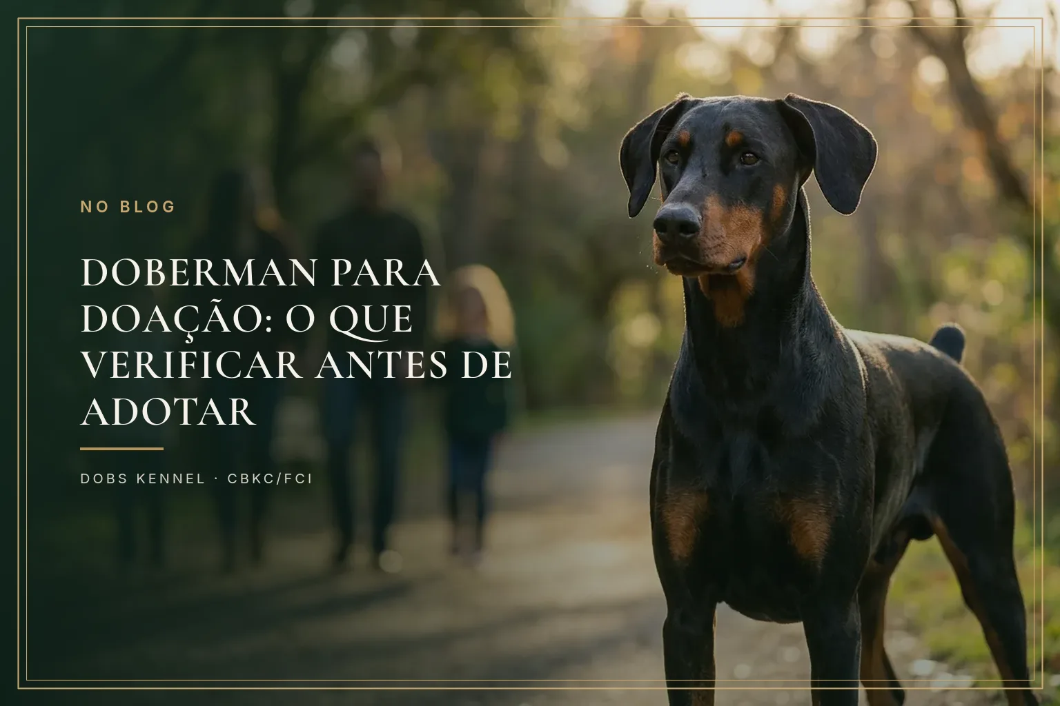 Doberman adulto de orelha natural sentado ao lado de uma pessoa agachada, em clima de adoção responsável