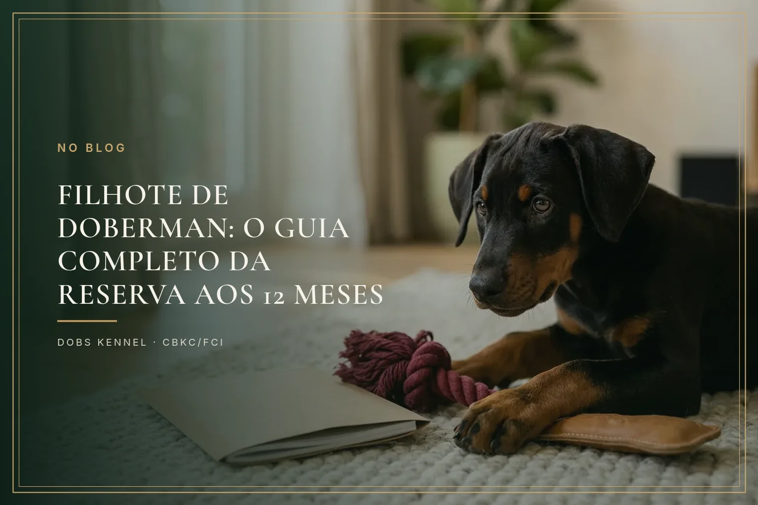 Dois filhotes de Doberman, um preto e um chocolate, deitados lado a lado na capa do guia completo do filhote
