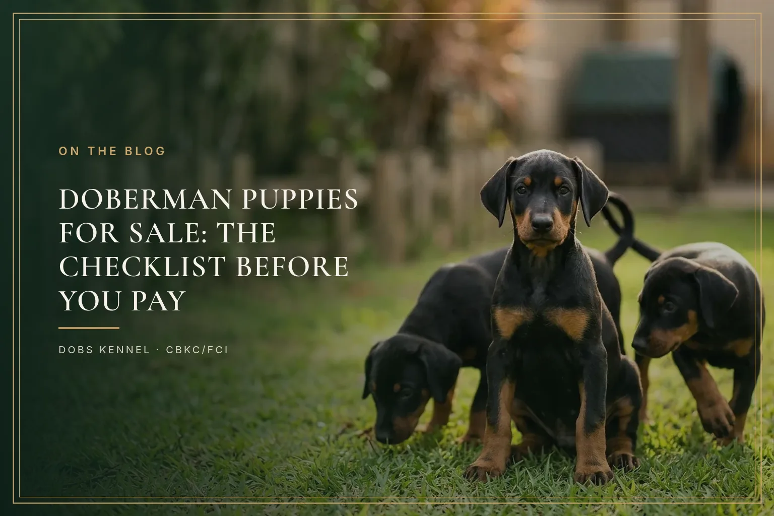 BREEDER CHECKLIST — PUPPIES FOR SALE