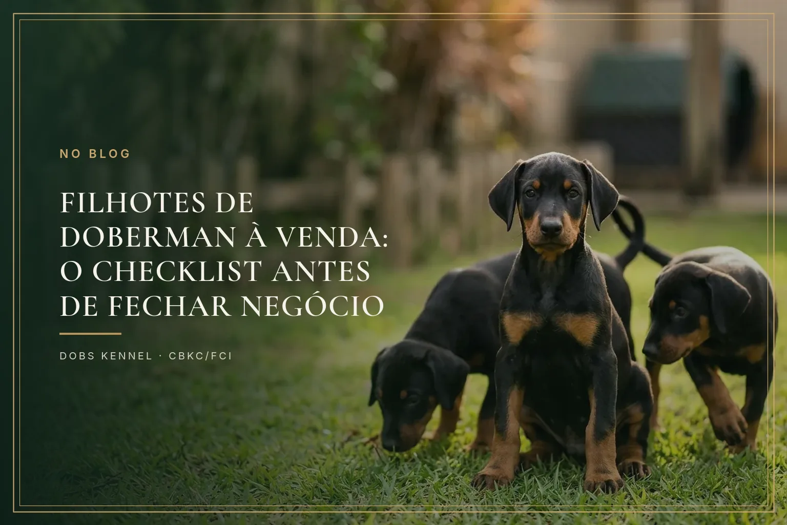 Três filhotes de Doberman, dois pretos e um chocolate, sentados na capa do checklist de compra