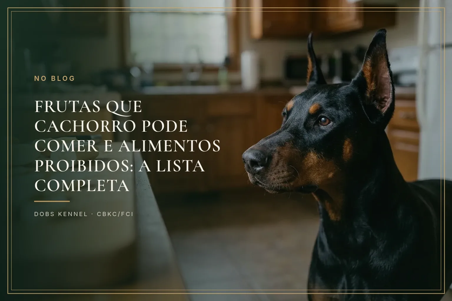 Doberman adulto preto e castanho, de orelhas em pé, numa cozinha