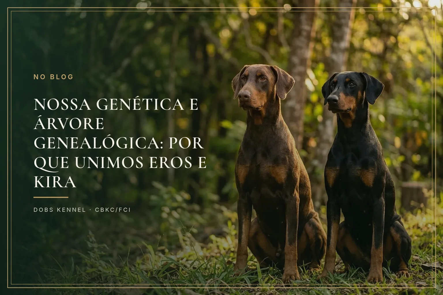 Casal de Dobermans lado a lado, um macho marrom e castanho e uma fêmea preta e castanha, em retrato elegante na capa do artigo sobre a linhagem do canil