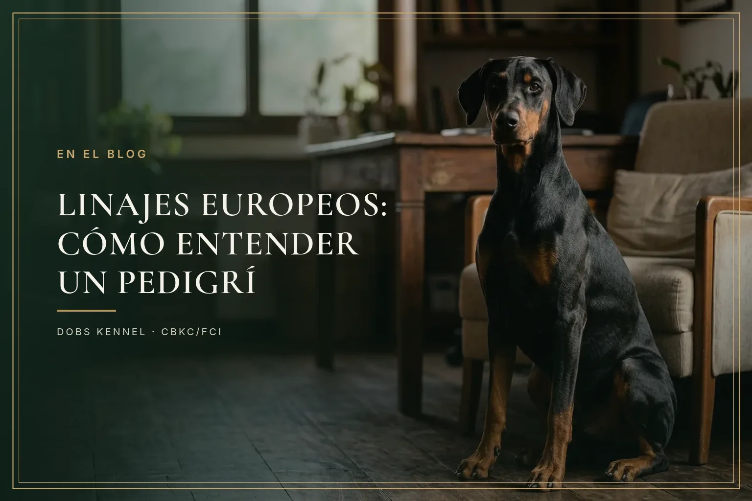 LINEAS EUROPEAS — LEER UN PEDIGRI