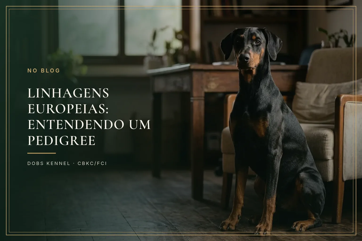Doberman adulto sentado atento num escritório com mesa de madeira e estante ao fundo, na capa do guia de leitura de pedigree