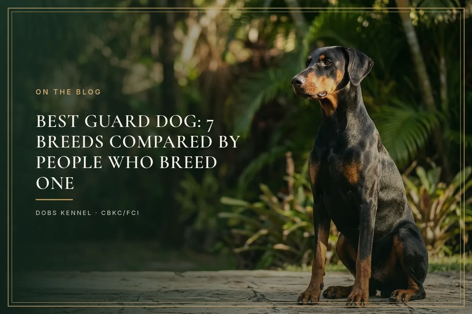 HONEST COMPARISON — SEVEN GUARD BREEDS