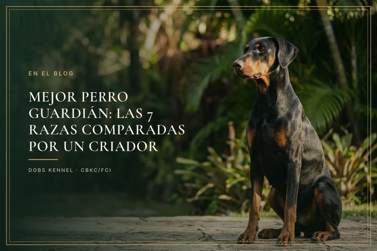 COMPARATIVA HONESTA — SIETE RAZAS GUARDIANAS