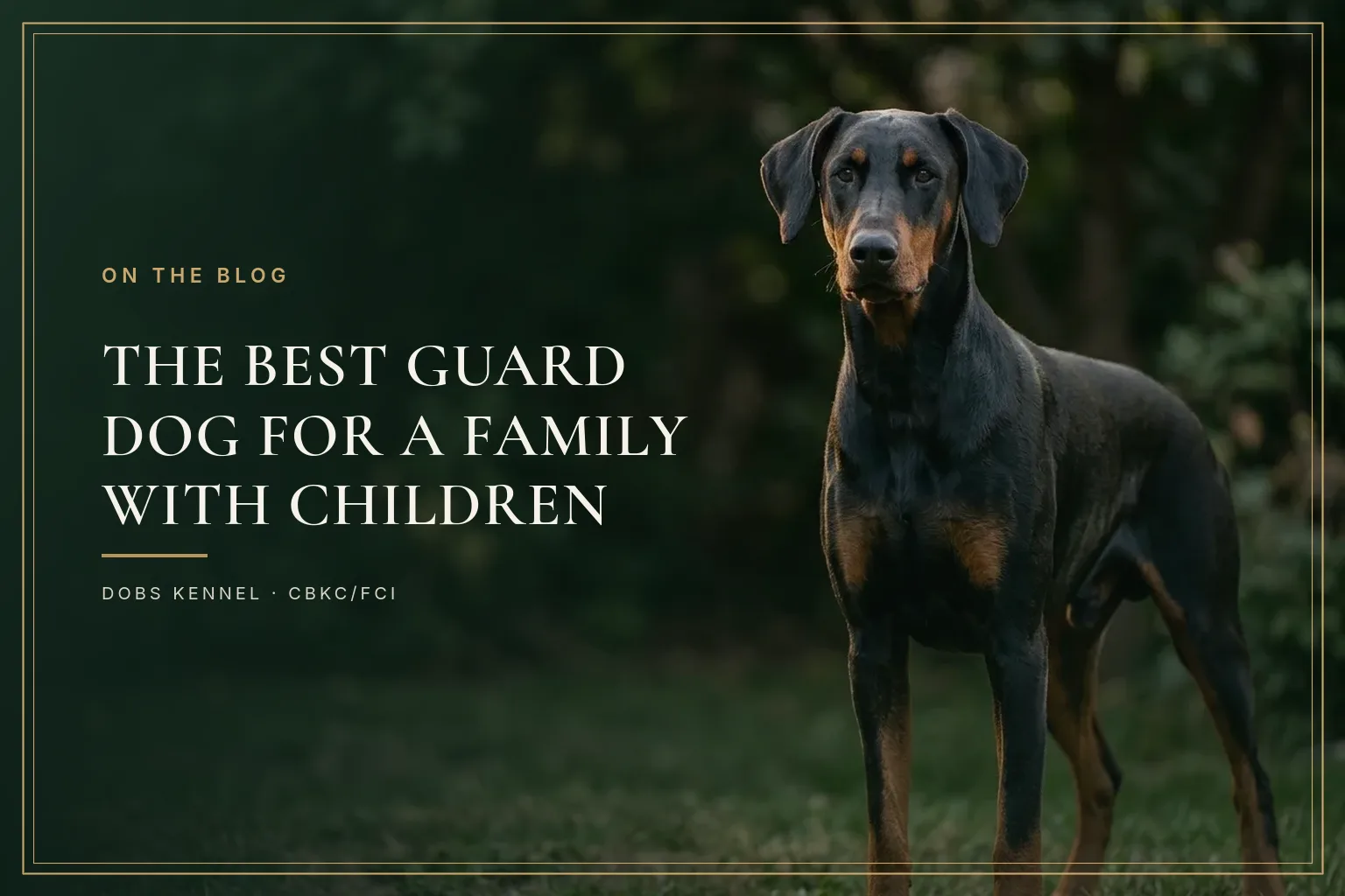 Guard dog lying on the lawn at home while a child plays in the background under supervision