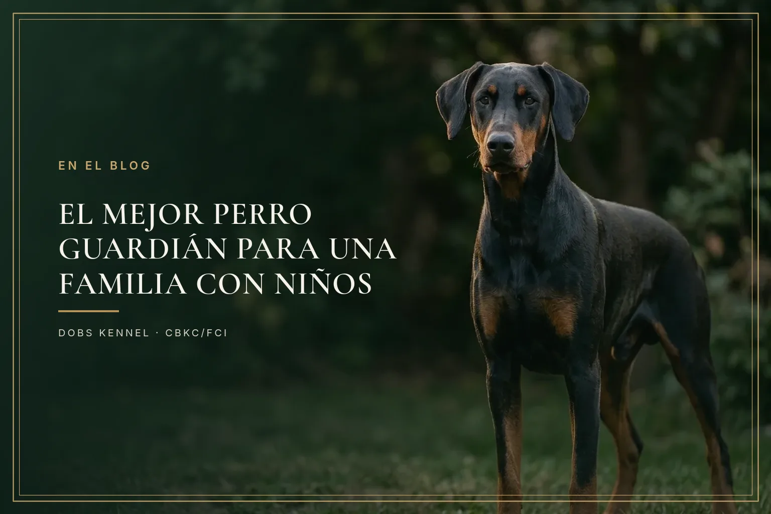 Perro guardián echado en el césped de la casa mientras un niño juega al fondo bajo supervisión