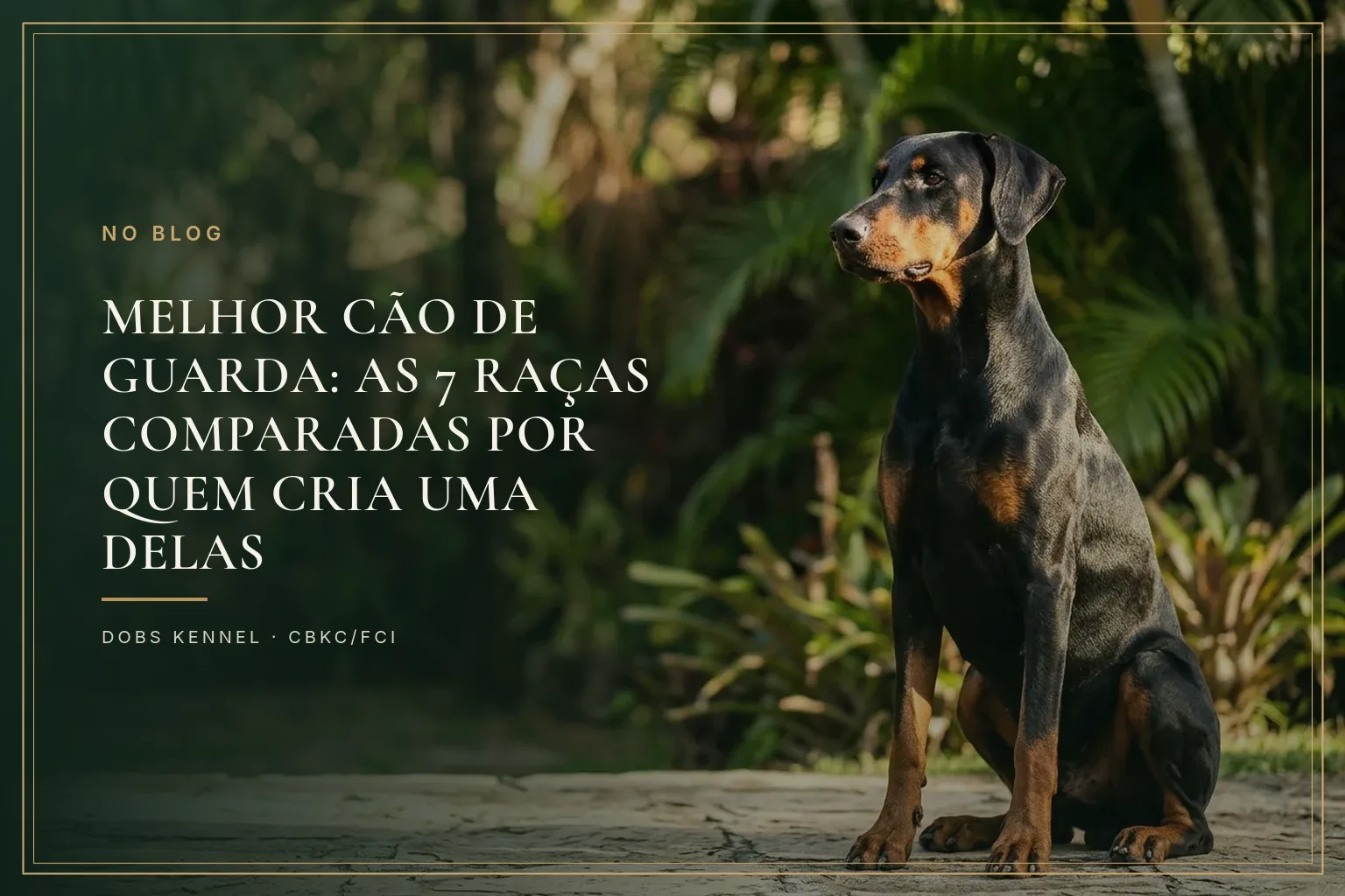 Doberman, Pastor Alemão e Rottweiler sentados lado a lado na capa do comparativo das raças de guarda