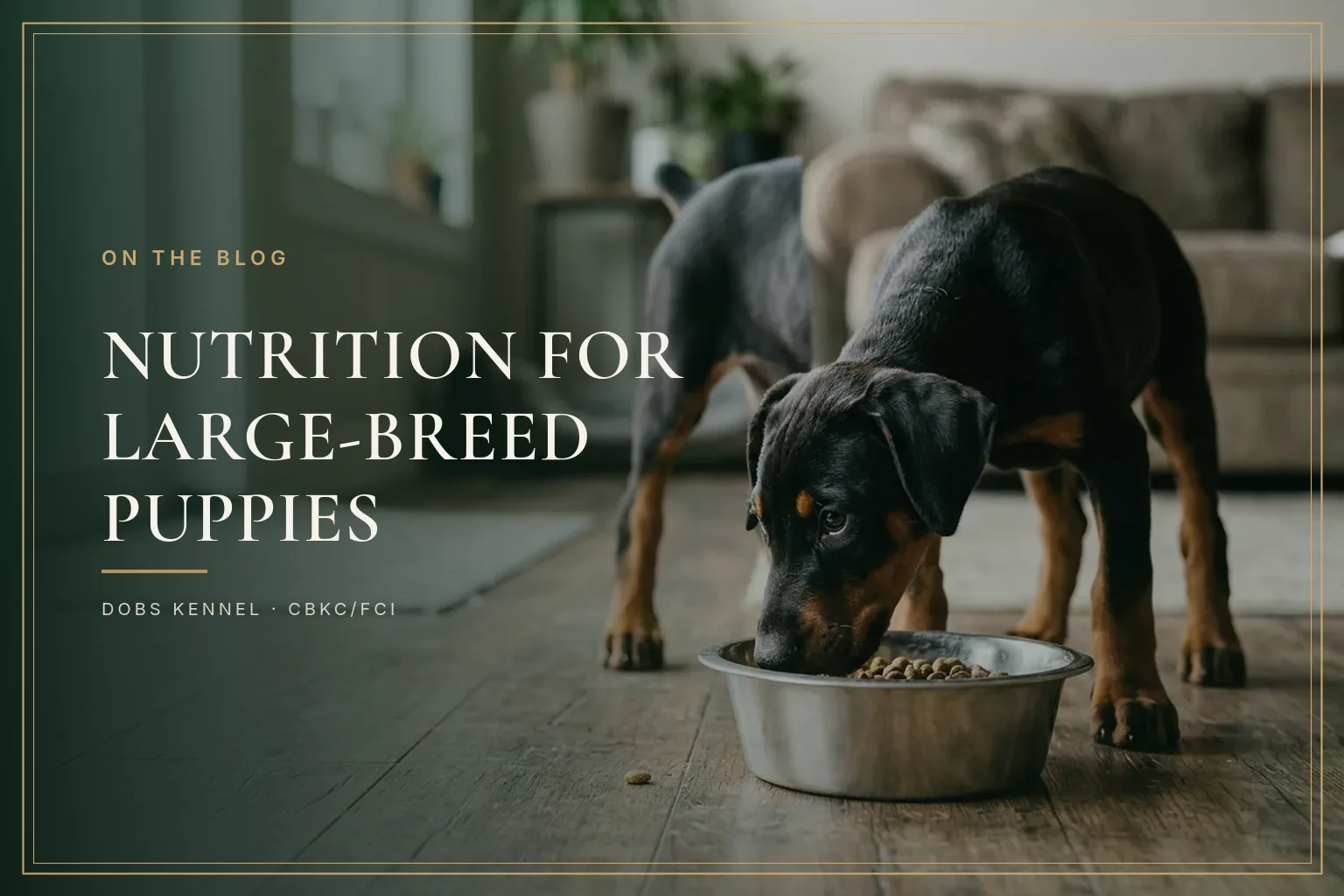 NUTRITION — LARGE BREED PUPPIES