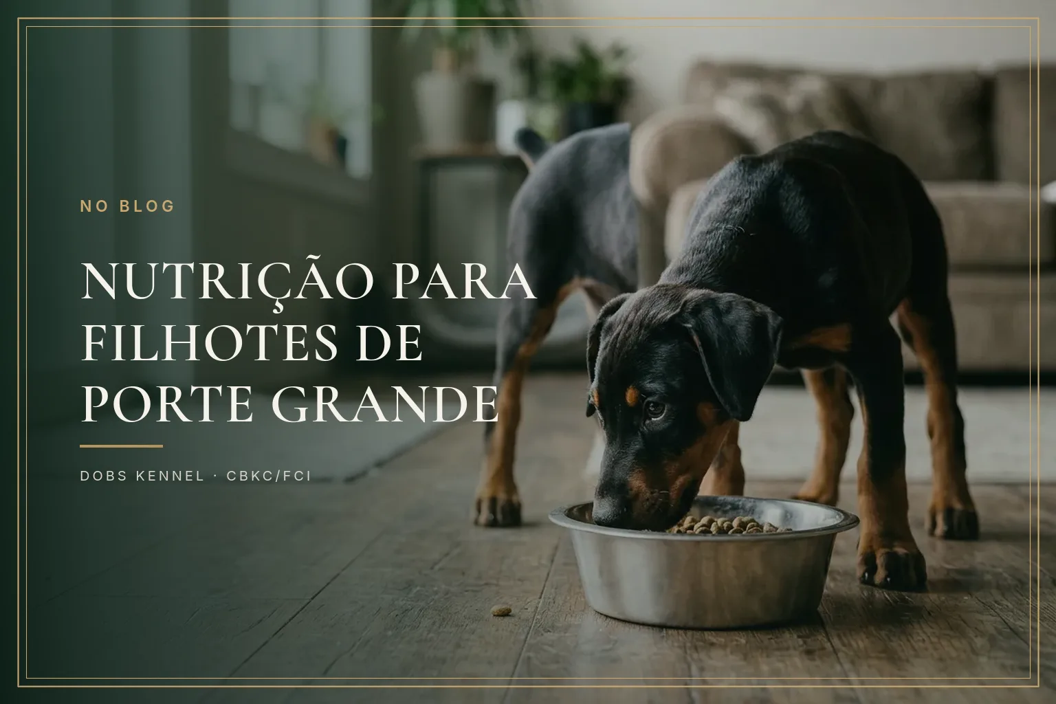Filhote de Doberman comendo ração numa tigela de inox no chão de madeira de uma sala clara, na capa do guia de nutrição de porte grande