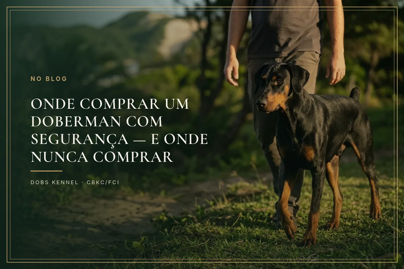 Doberman preto e ferrugem de orelha natural ao lado do criador em canil com estrutura à vista