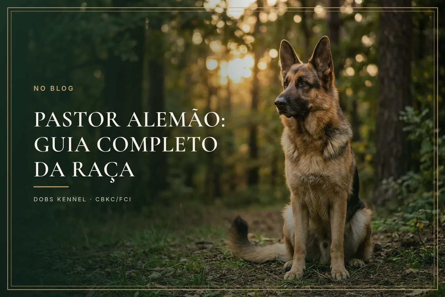 Pastor Alemão: guia completo da raça