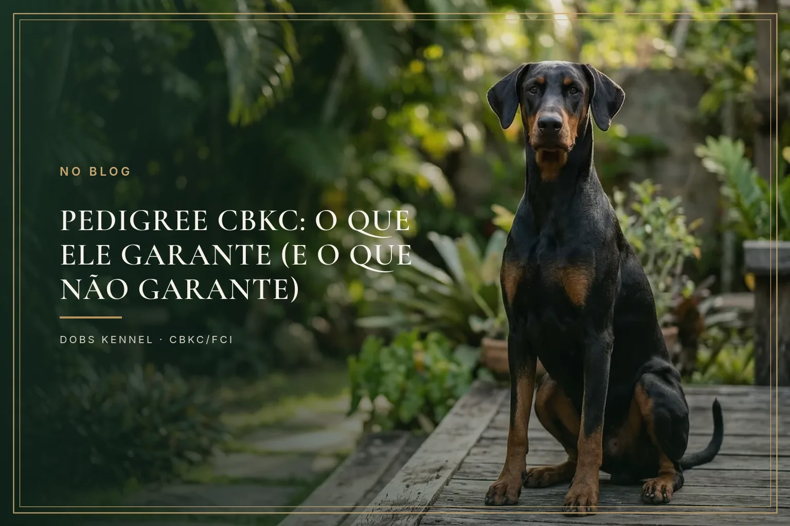 Criador sentado na grama ao lado de um Doberman preto e castanho, segurando o pedigree do cão. Dobs Kennel.