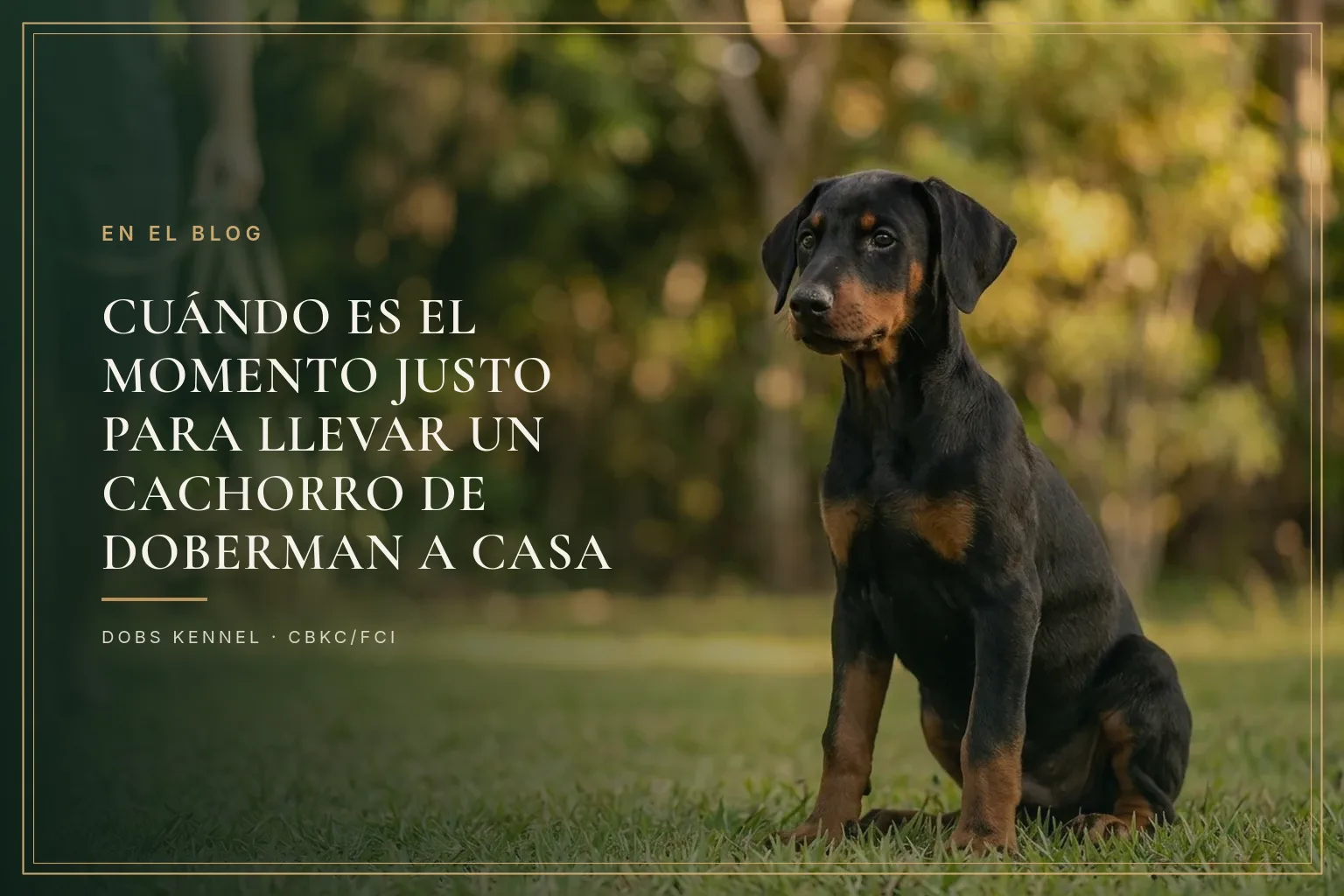Cachorro de Doberman llegando a una casa nueva, en brazos de la familia