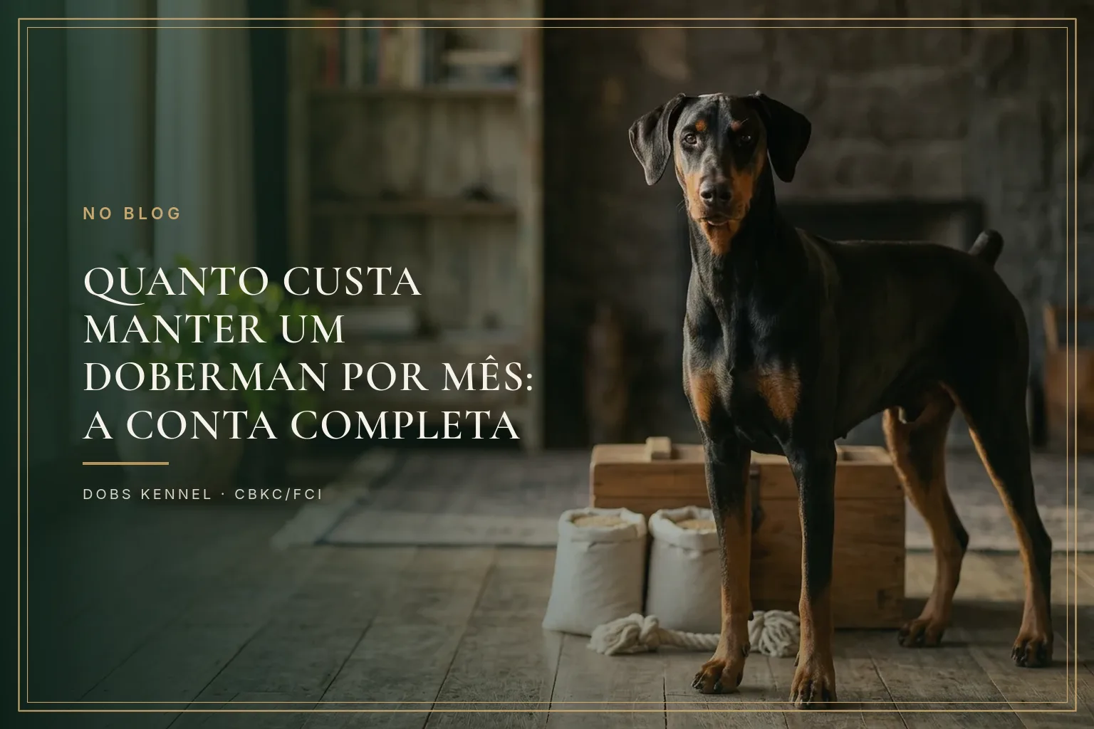 Doberman preto e castanho adulto em pé numa sala rústica, ao lado de sacos de ração e caixa de madeira. Dobs Kennel.