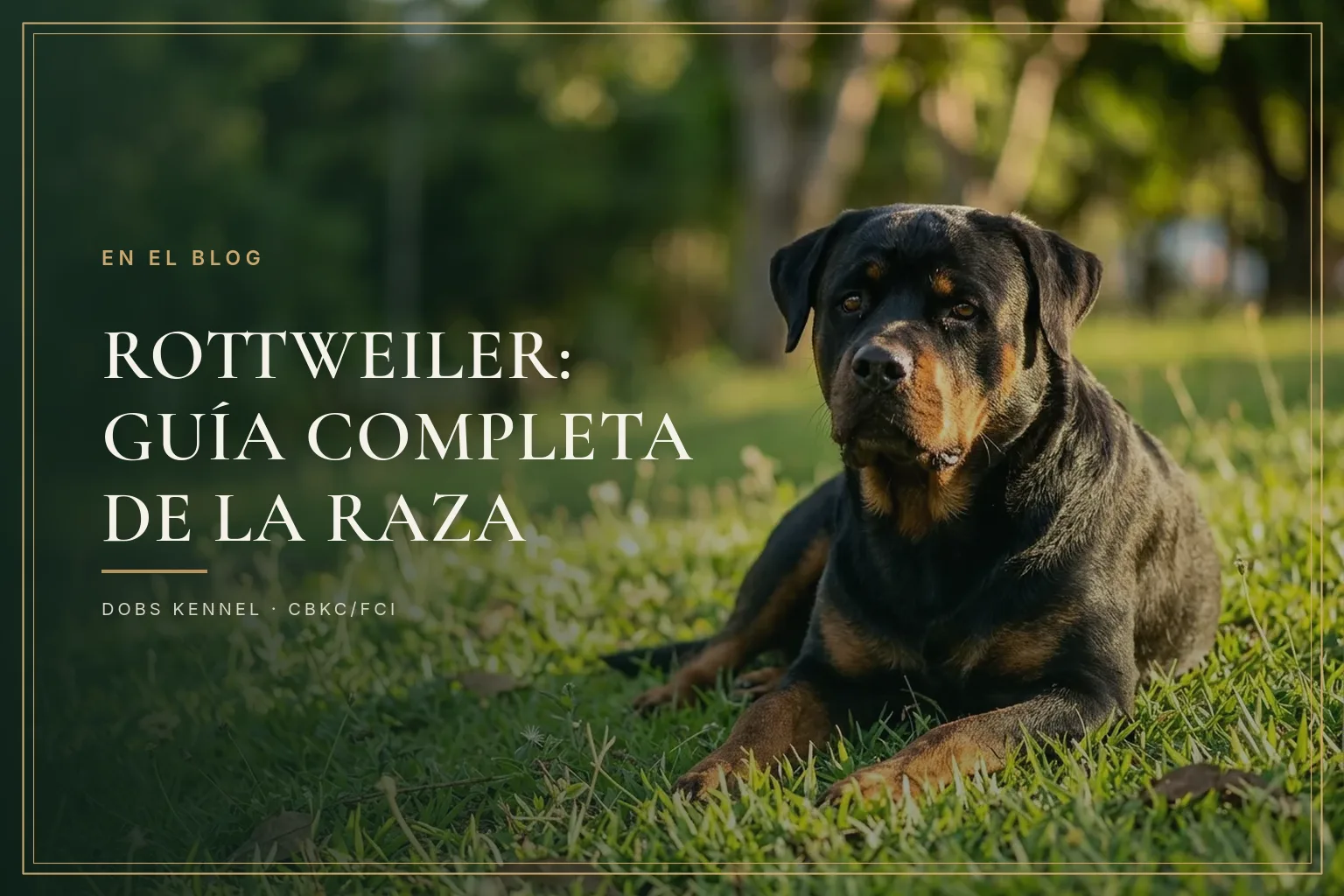 GUIA COMPLETA — ROTTWEILER