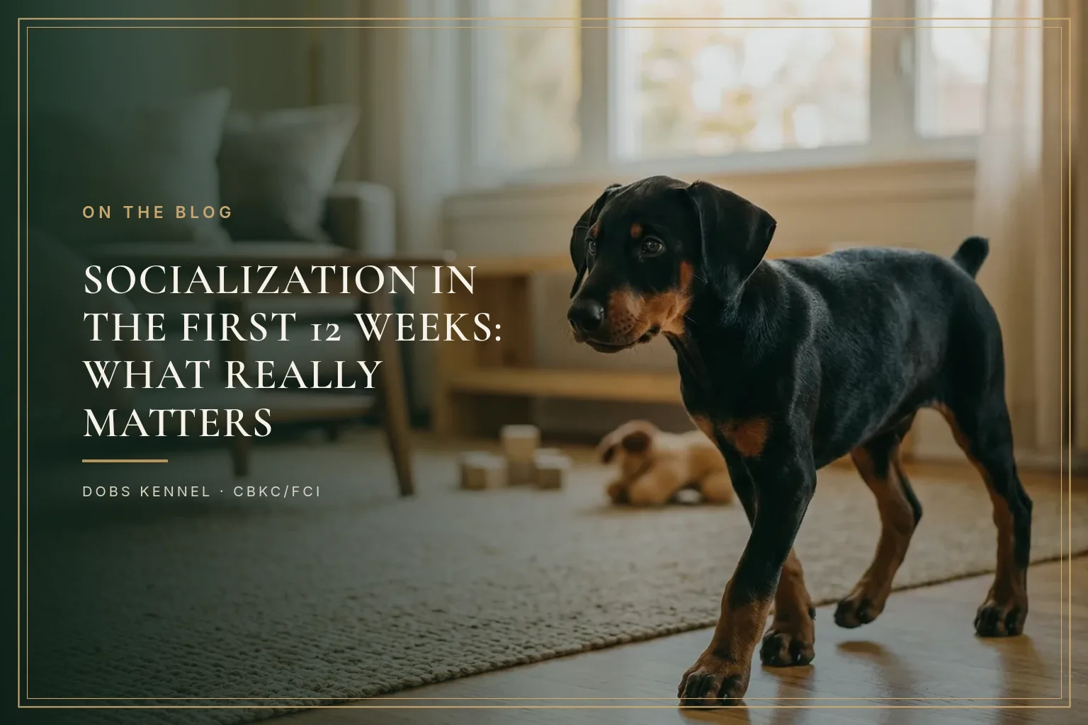 SOCIALISATION — FIRST 12 WEEKS