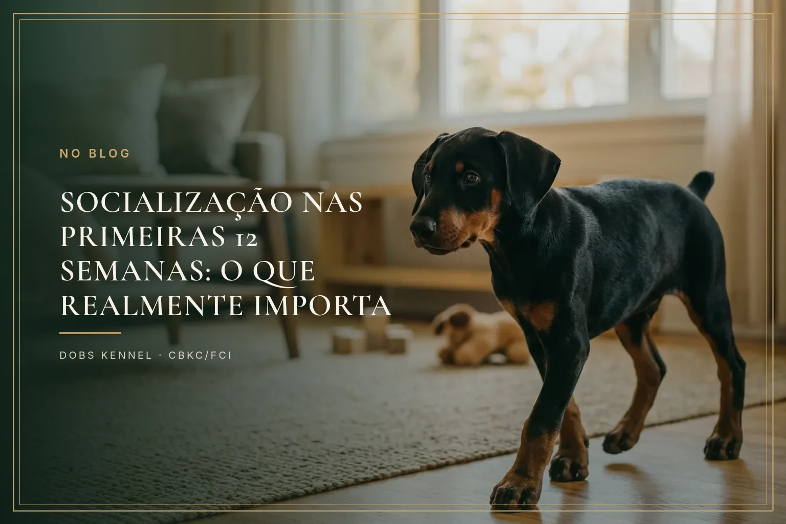 Filhote de Doberman explorando uma sala iluminada com brinquedos espalhados pelo tapete, na capa do guia de socialização