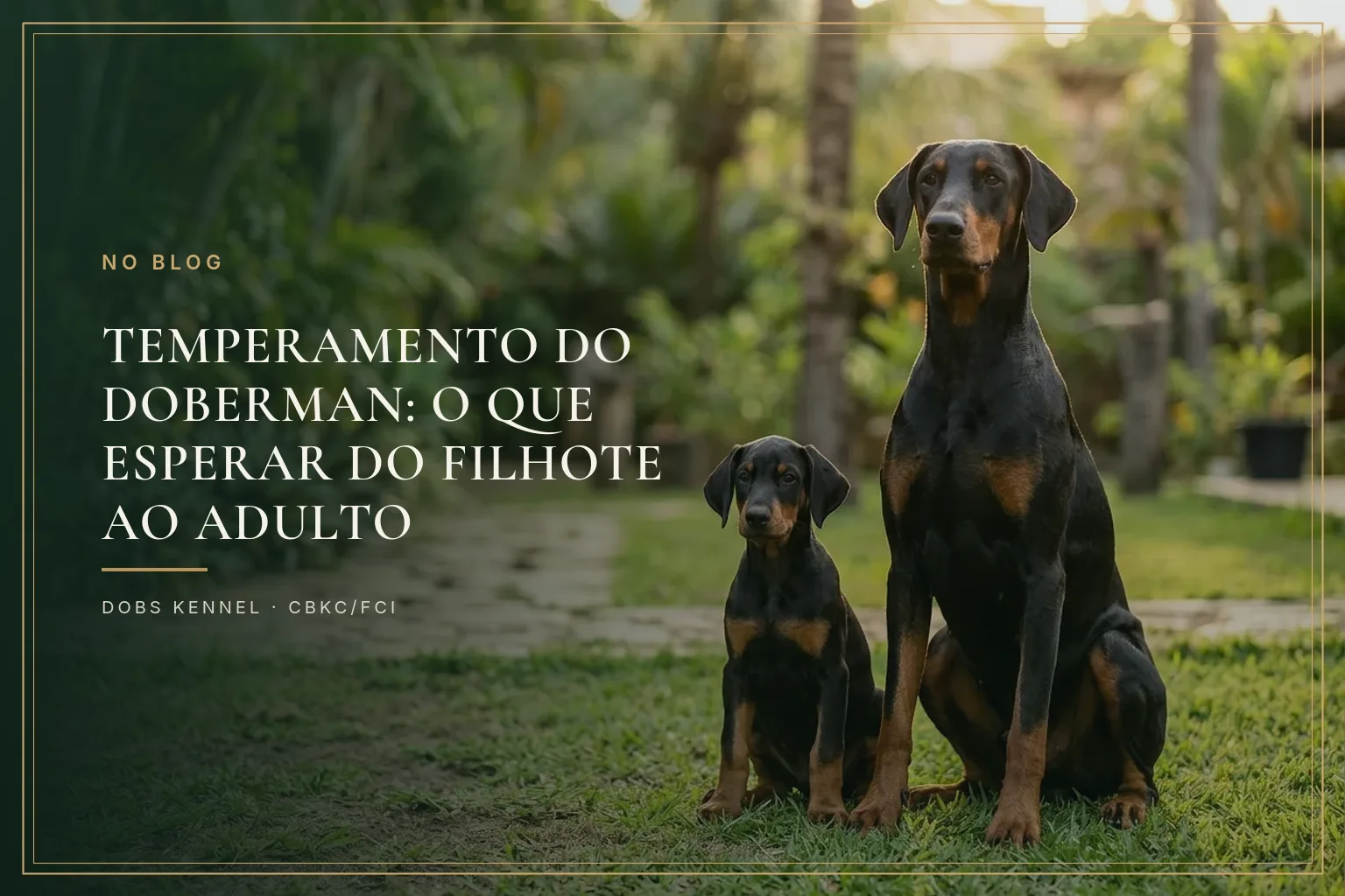Doberman adulto deitado tranquilo em sala de estar, capa do artigo sobre temperamento da raça
