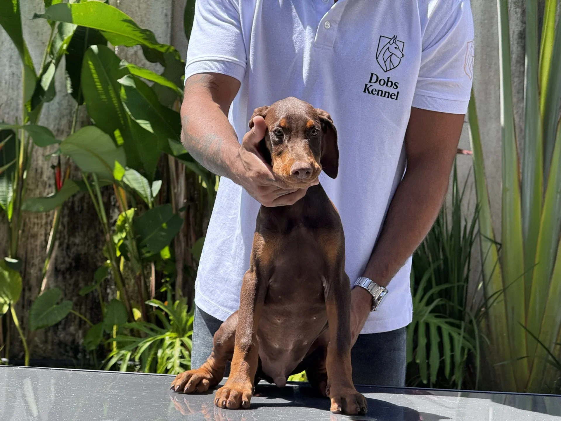 Zig Dobs Kennel — foto 20