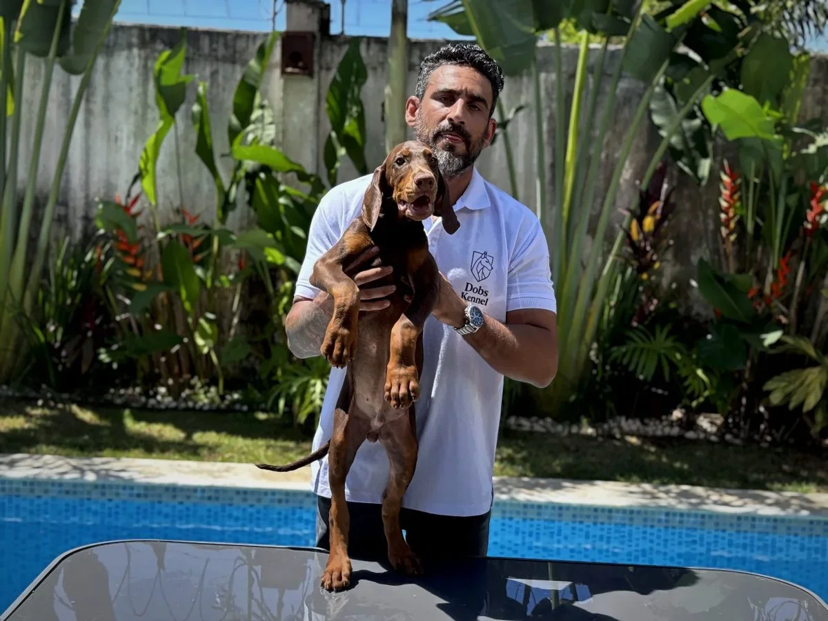 Kratos Dobs Kennel — foto 16