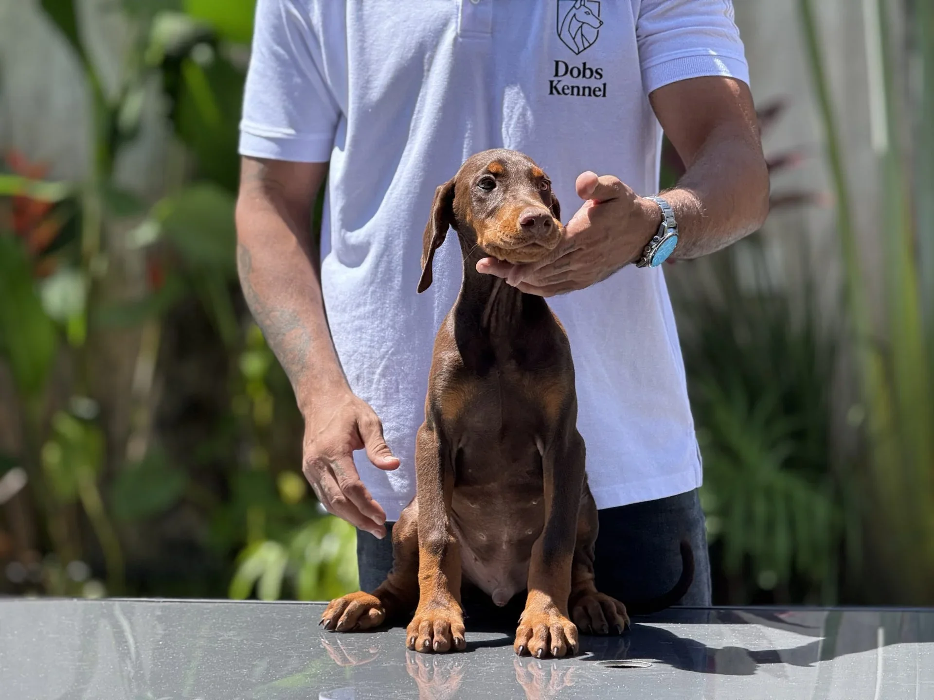 Zig Dobs Kennel — foto 15