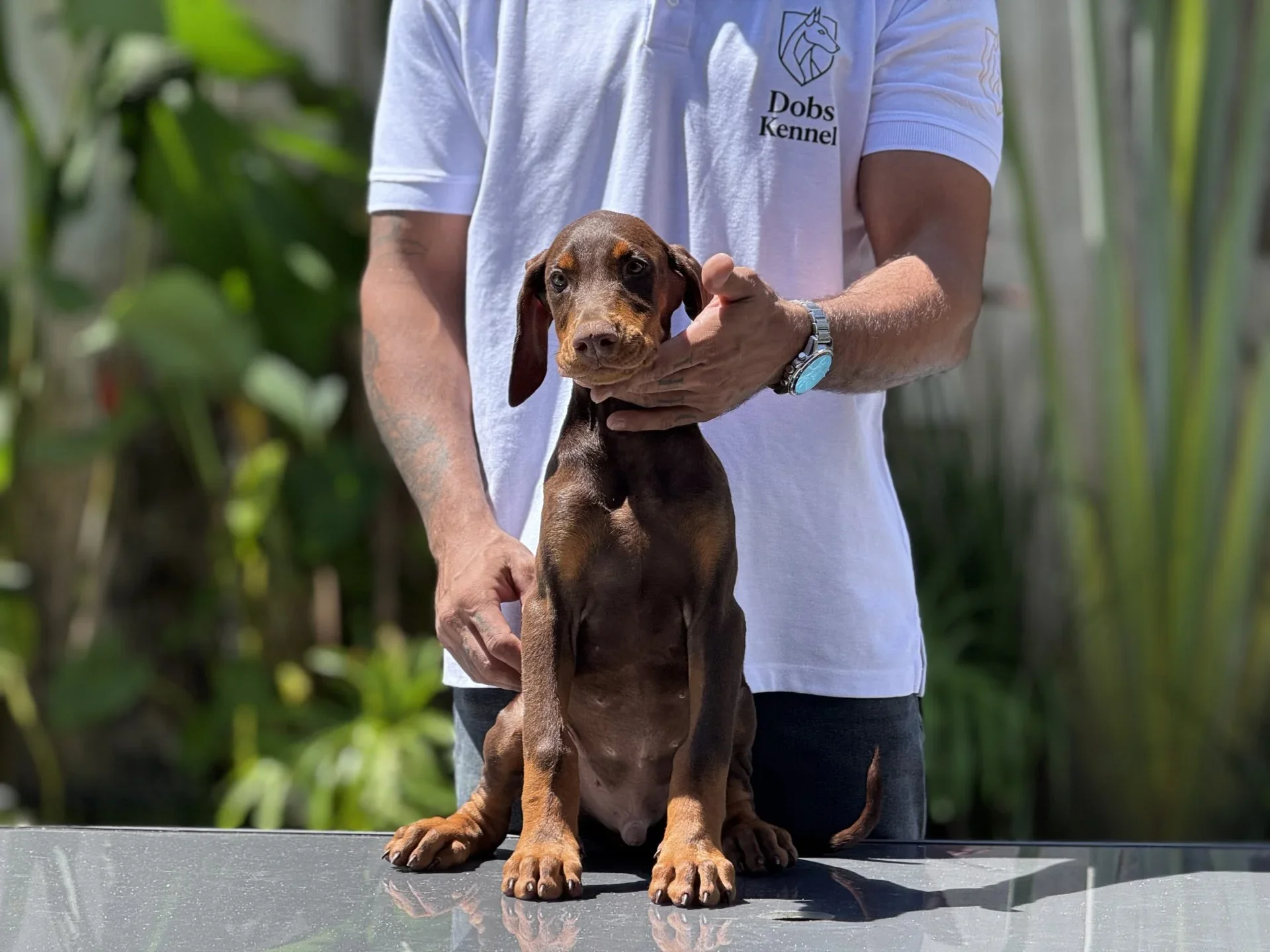 Zig Dobs Kennel — foto 13