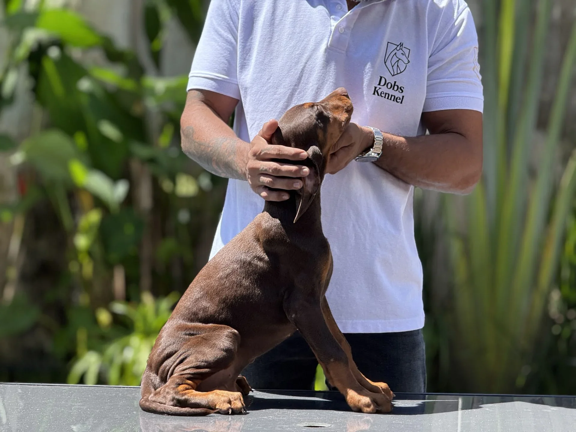 Zig Dobs Kennel — foto 10