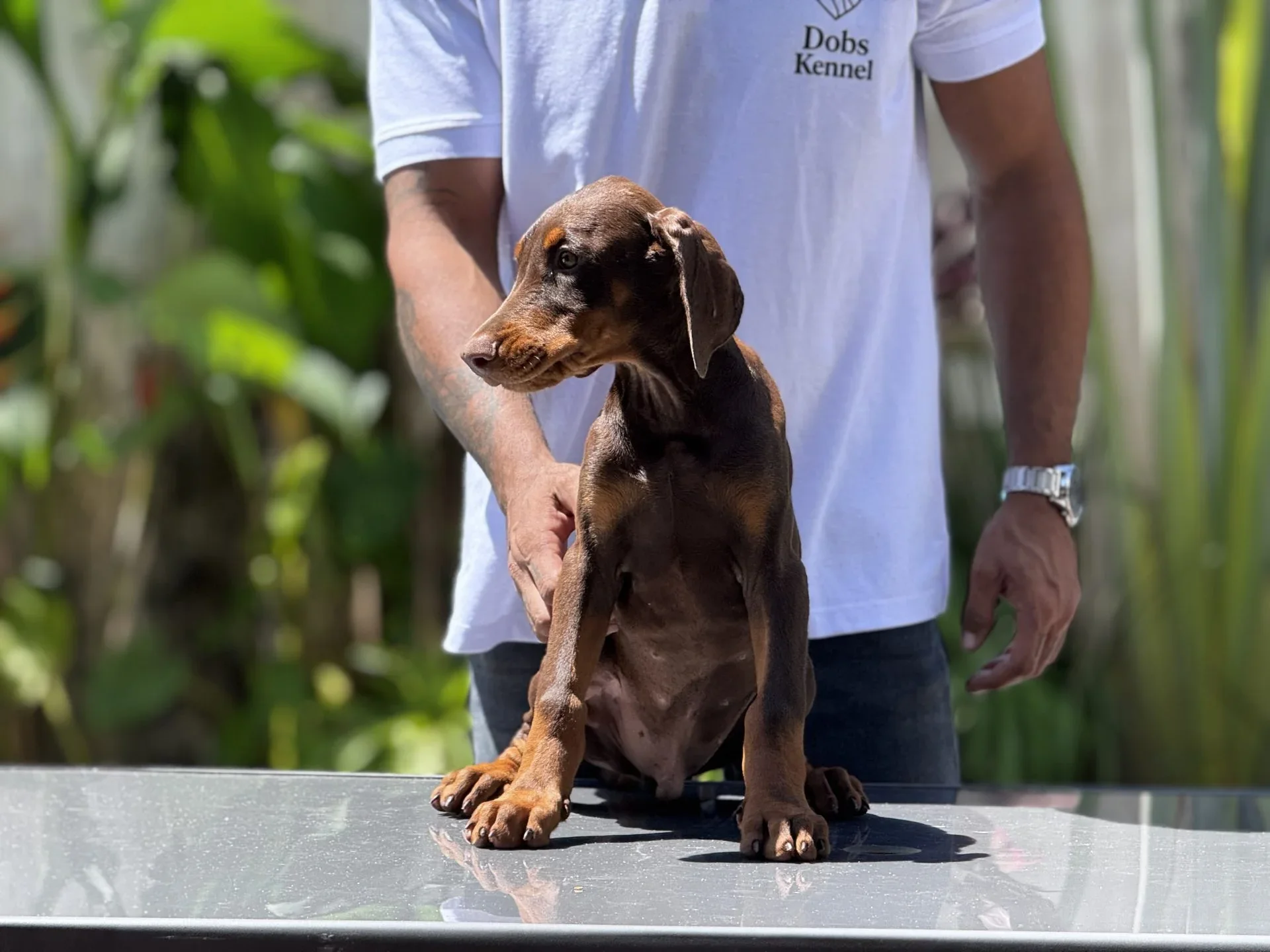 Zig Dobs Kennel — foto 16